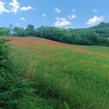 Monte Bibele Pension Monterenzio Buitenkant foto