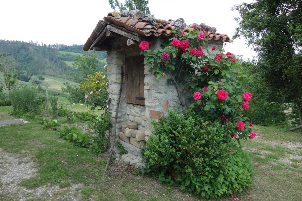 Monte Bibele Pension Monterenzio Buitenkant foto