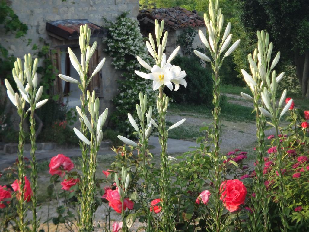 Monte Bibele Pension Monterenzio Buitenkant foto