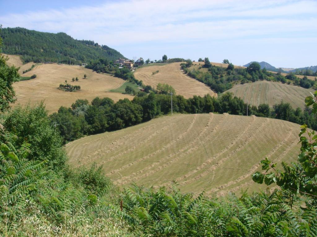 Monte Bibele Pension Monterenzio Kamer foto