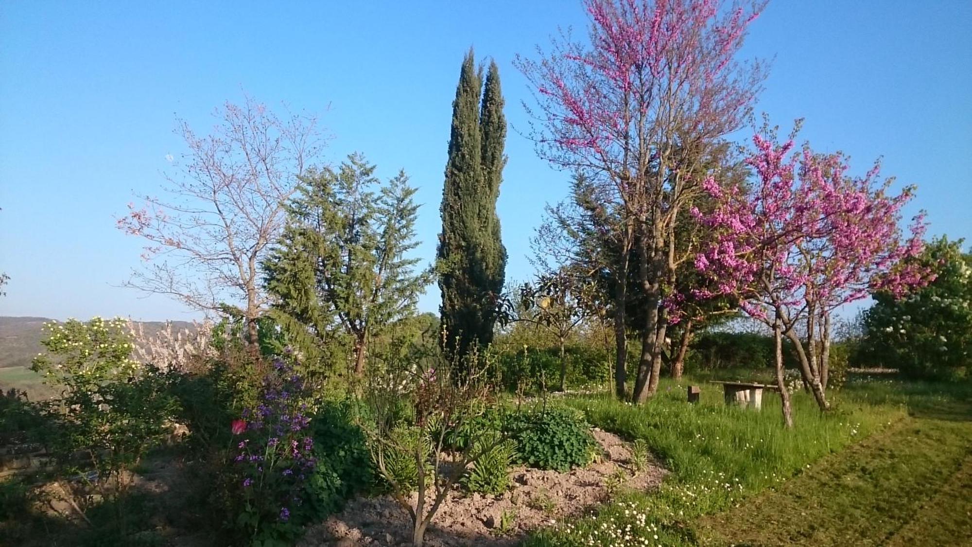 Monte Bibele Pension Monterenzio Buitenkant foto