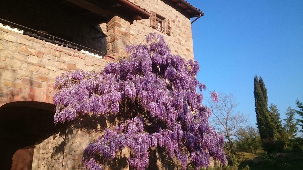 Monte Bibele Pension Monterenzio Buitenkant foto